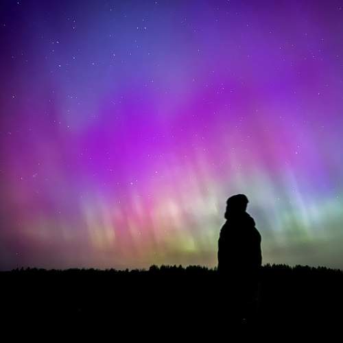 Photo #10238239