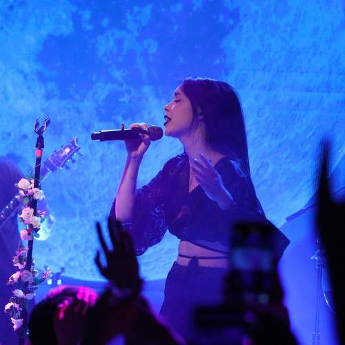 Photo #10238411
