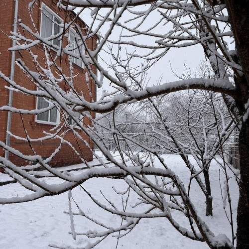 Photo #10238517