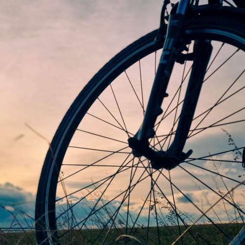 Photo #10238568