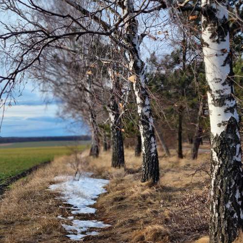 Photo #10238569