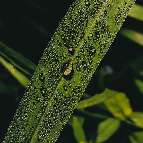 Photo #10238919