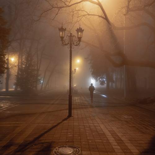 Фотография #10238977