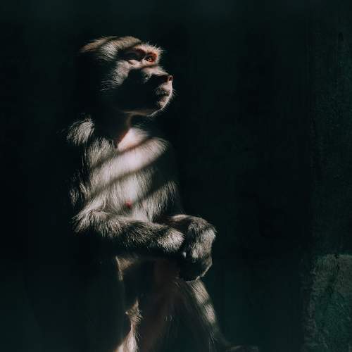 Photo #10239593