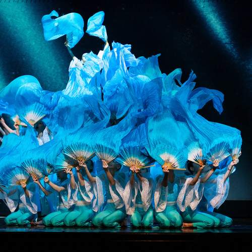 Photo #10239899