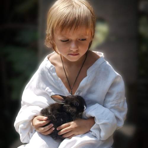 Photo #10240223
