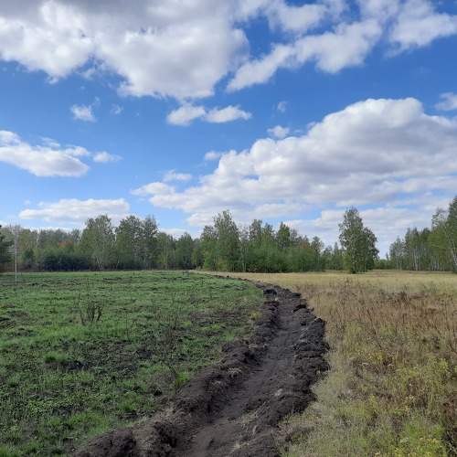 Photo #10240404
