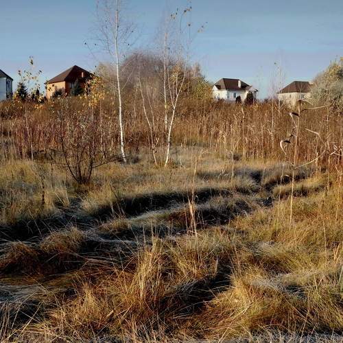 Photo #10240646