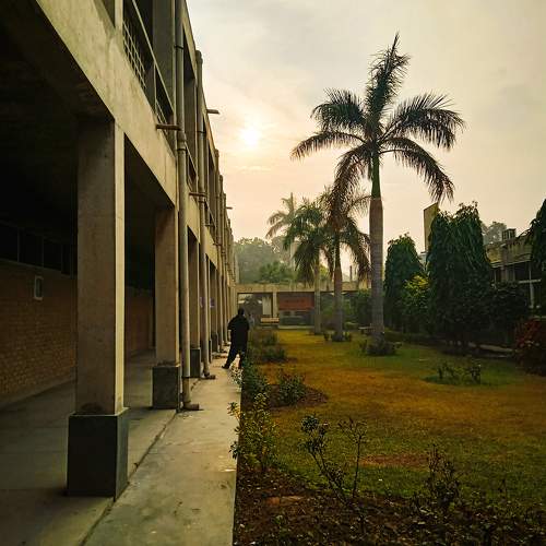 Photo #10241006