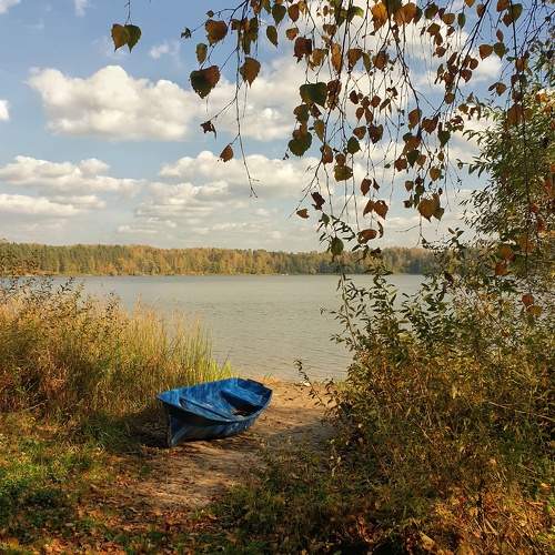 Photo #10241013