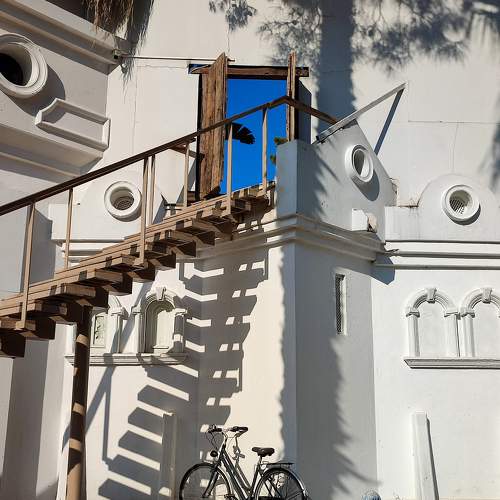 Photo #10241144