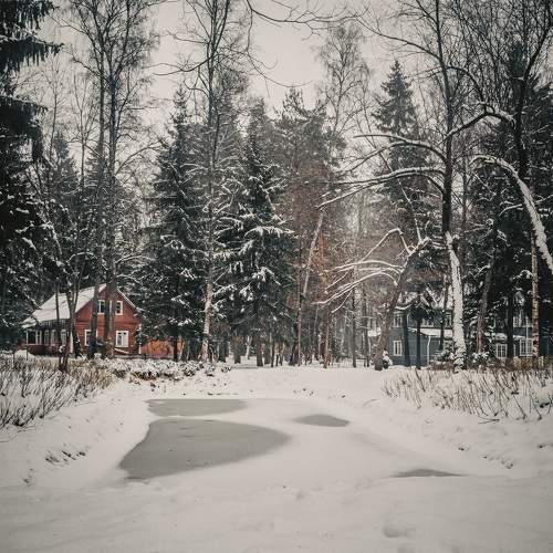 Photo #10241157