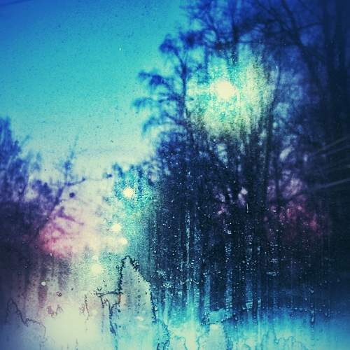 Photo #10241206