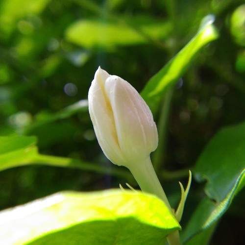 Photo #10241678