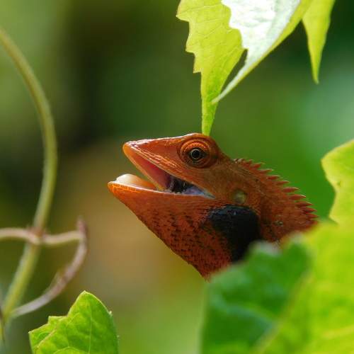 Photo #10241684