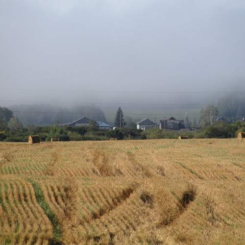 Photo #10242004