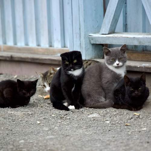 Photo #10242123