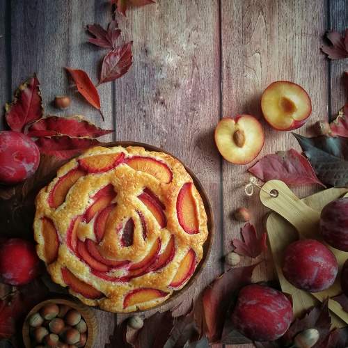 Photo #10242202