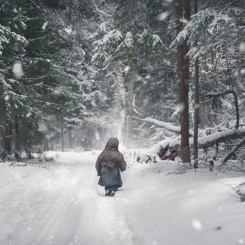Photo #10242330