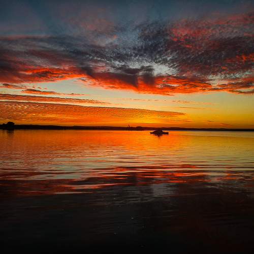 Photo #10242641