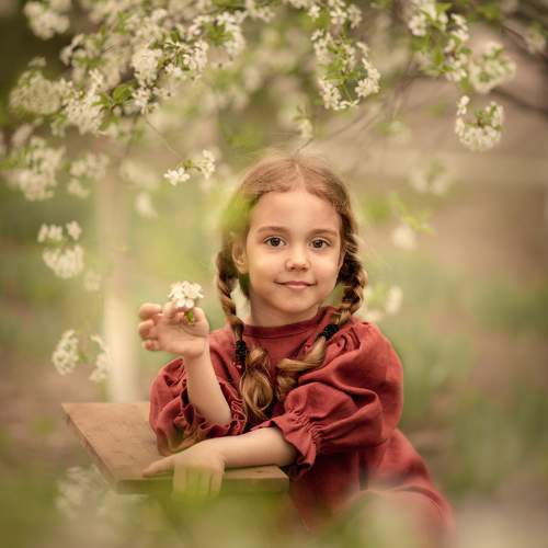 Photo #10243120
