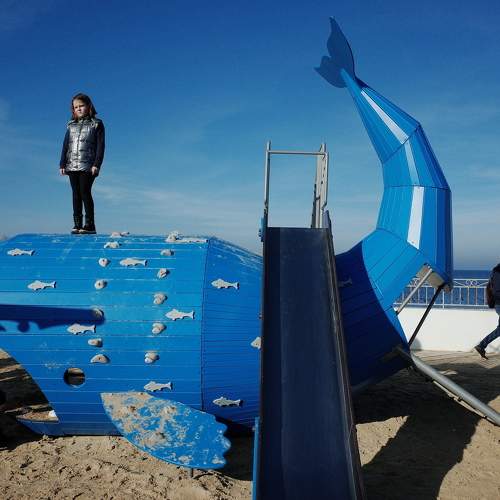 Photo #10243222