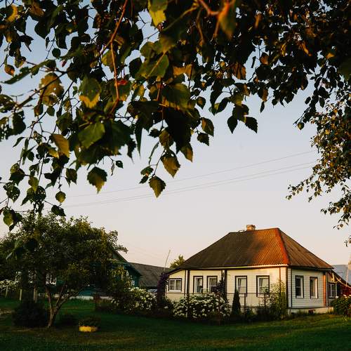 Photo #10243399