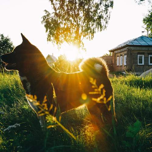 Photo #10243414
