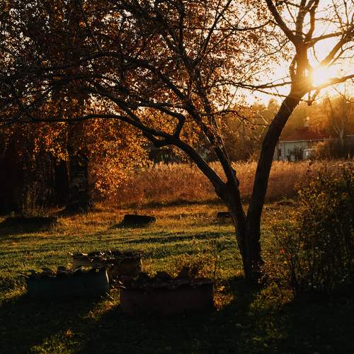 Photo #10243476