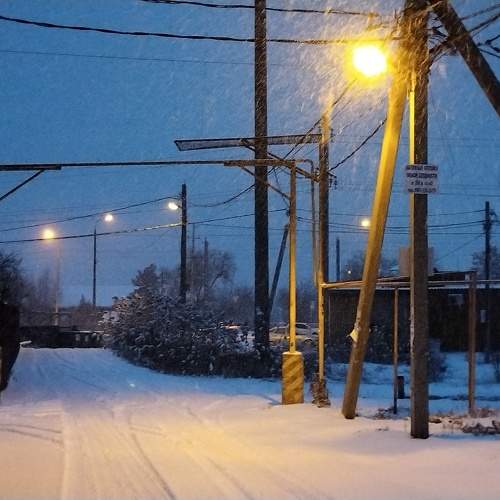 Photo #10243869