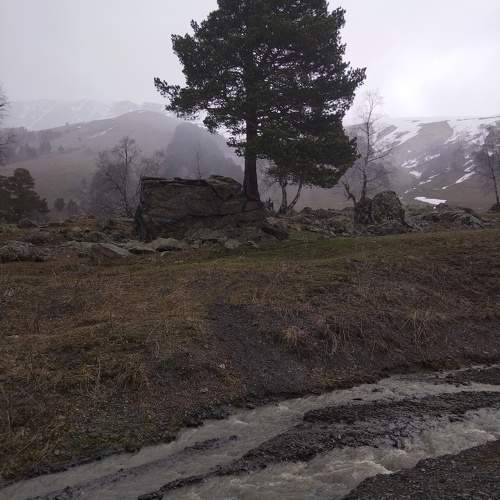 Photo #10243876