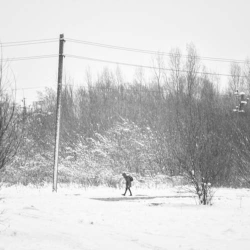Photo #10244577