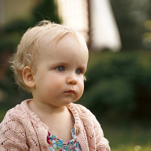 Photo #10244648