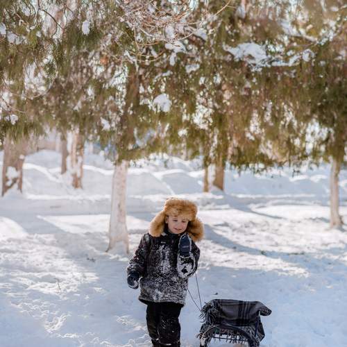 Photo #10244785
