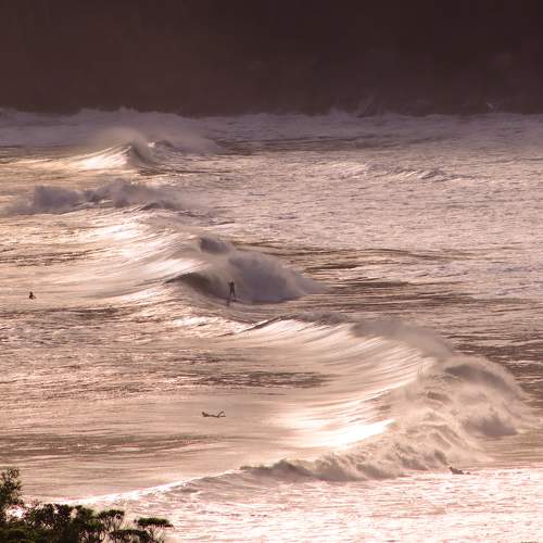 Photo #10244851