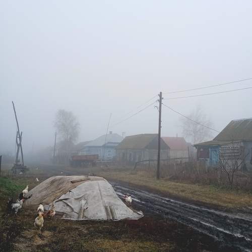 Photo #10245264