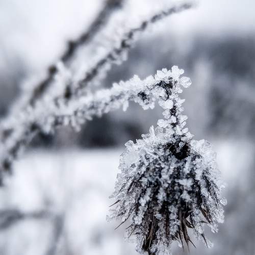 Photo #10245384