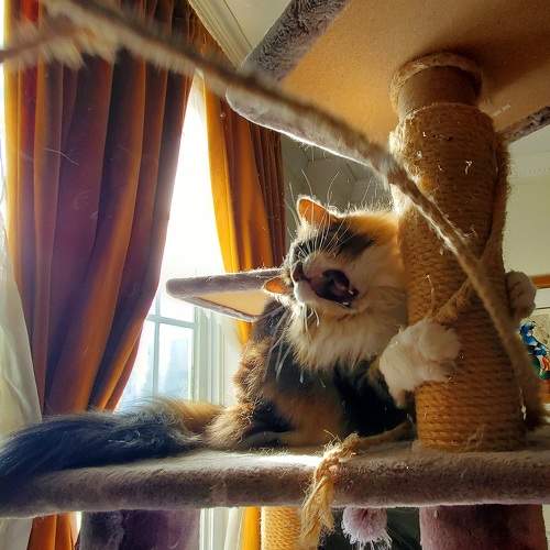 Photo #10245909