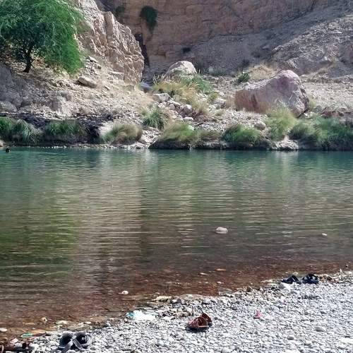 Photo #10245978
