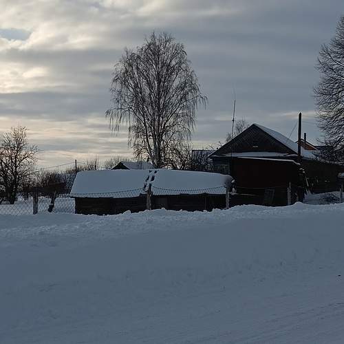 Photo #10245982