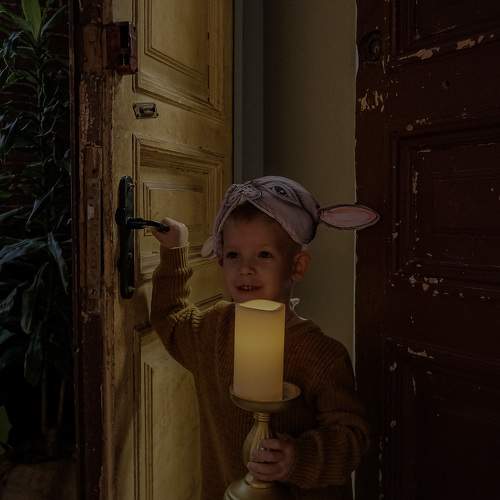 Photo #10246039