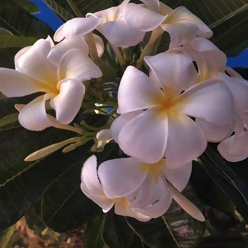 Photo #10246229