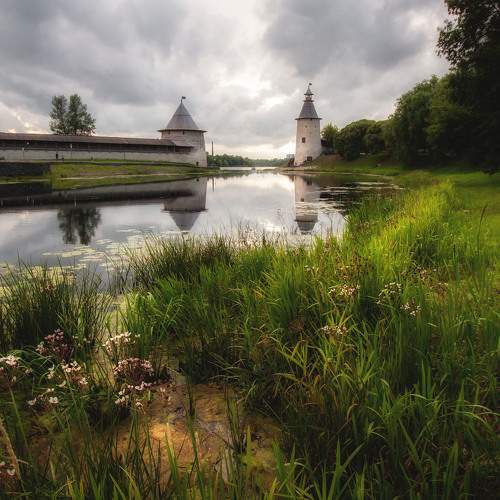 Photo #10246480