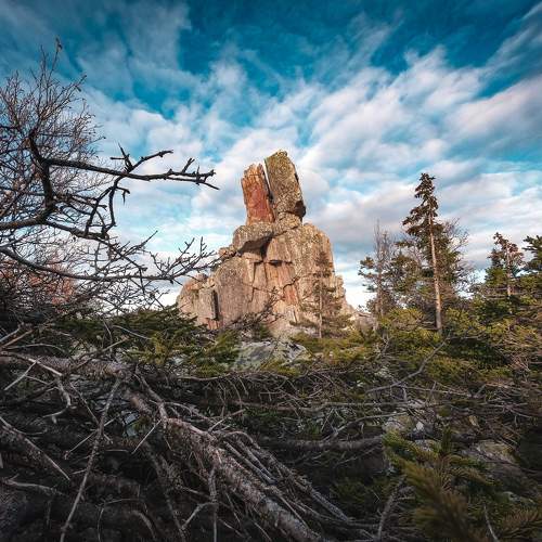 Photo #10246656