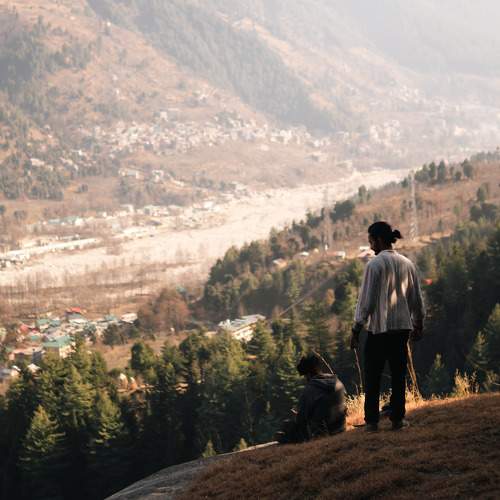 Photo #10246694