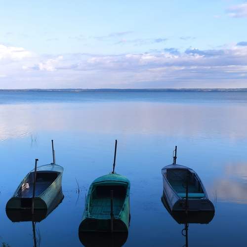 Photo #10246708