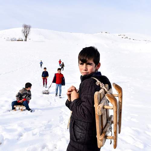 doğal yaşamdan fotoğraflar