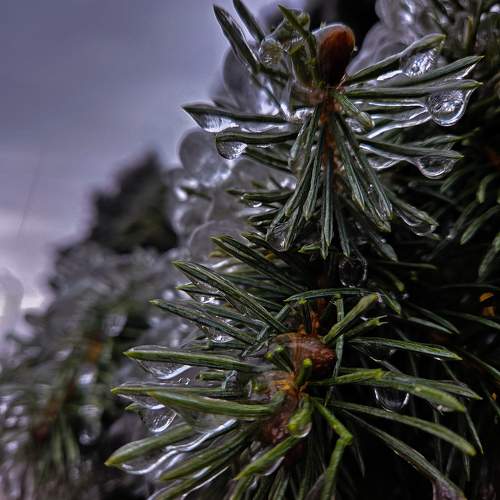 Photo #10247313