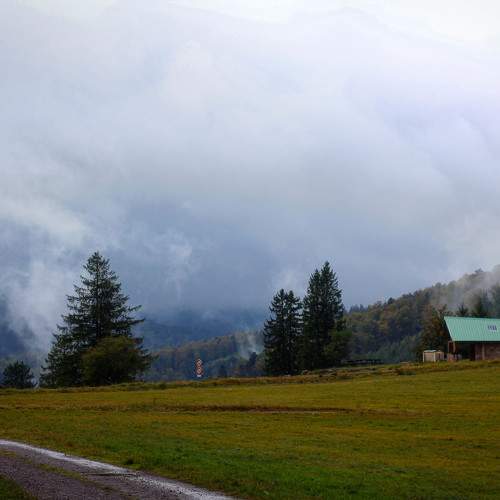 Photo #10247589