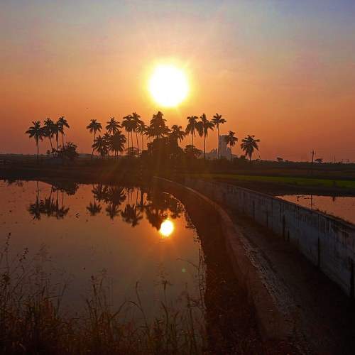 Photo #10248395